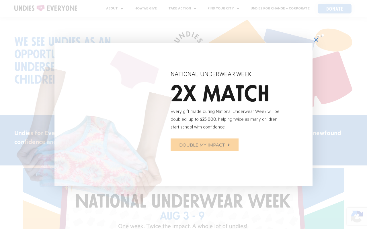 Undies for Everyone website preview