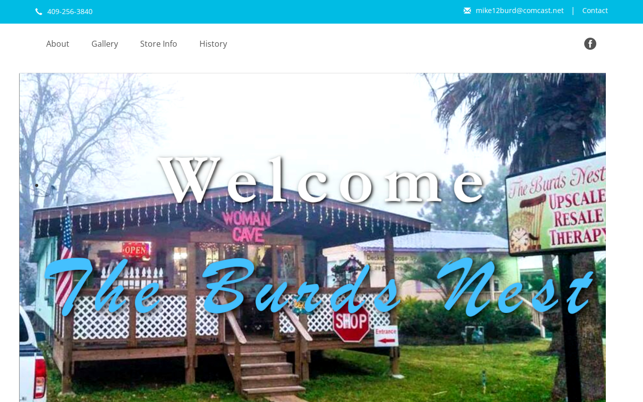 The Burds Nest website preview