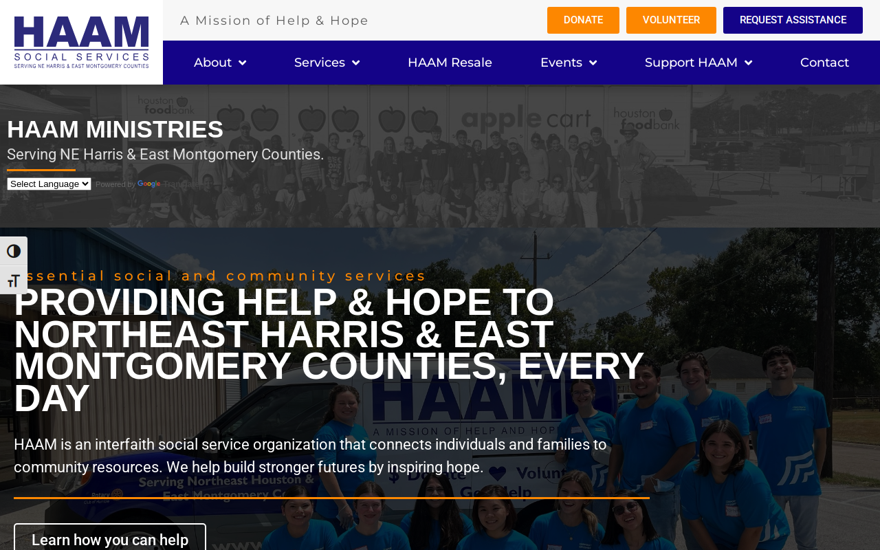 HAAM resale store website preview