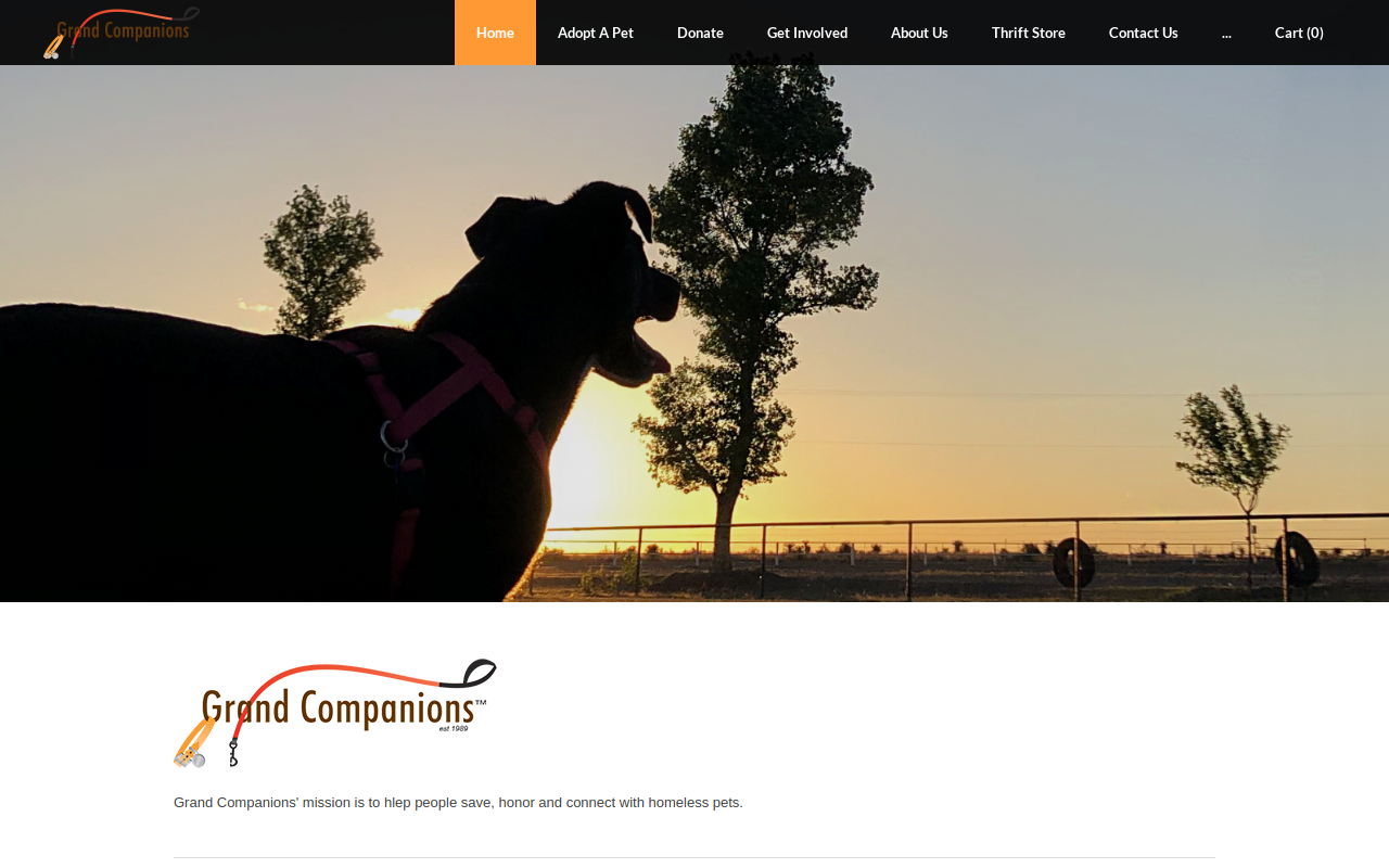 Humane Society Thrift Store website preview
