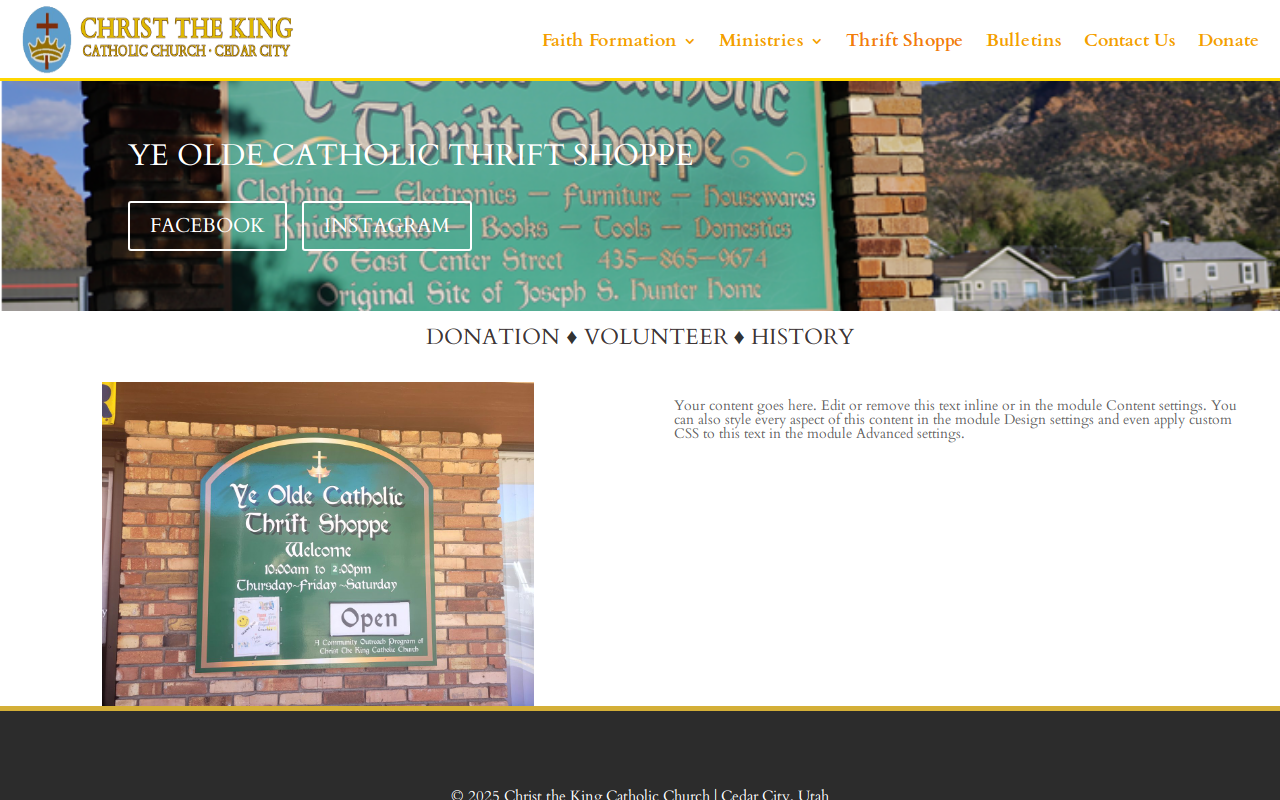 Ye Olde Catholic Thrift Shoppe website preview