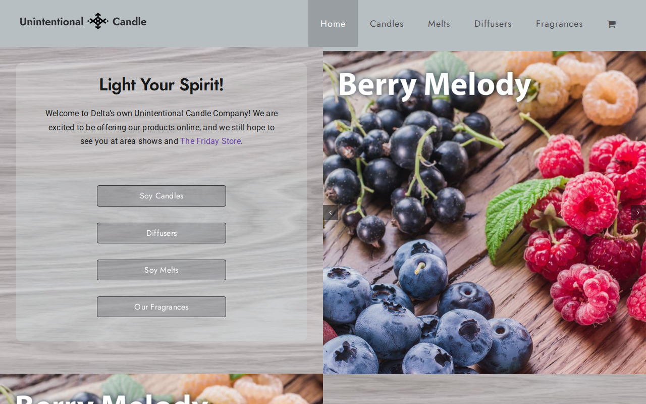 Friday Store Delta website preview