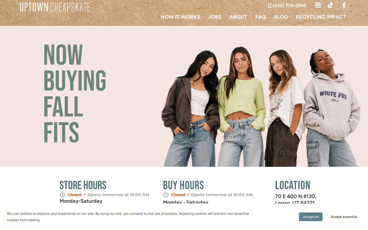 Uptown Cheapskate Logan website preview