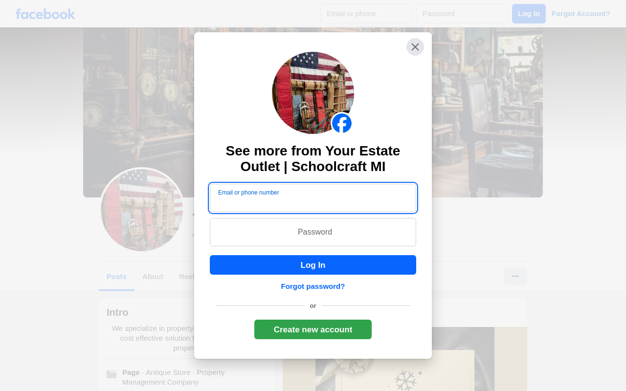 Your Estate Outlet website preview
