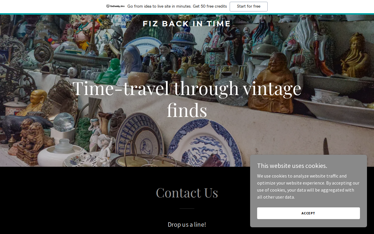 Fizana’s Back in Time website preview