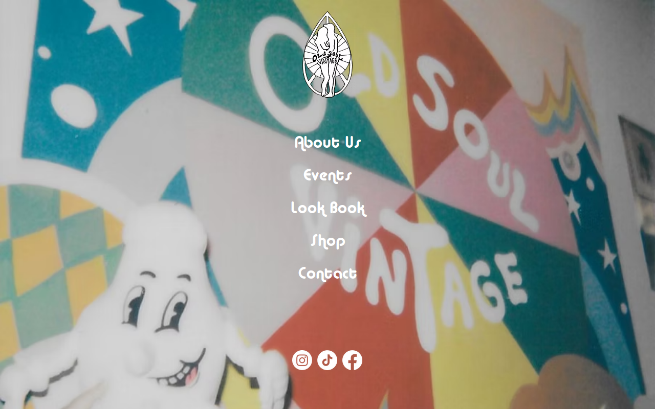 Old Soul Vintage website preview