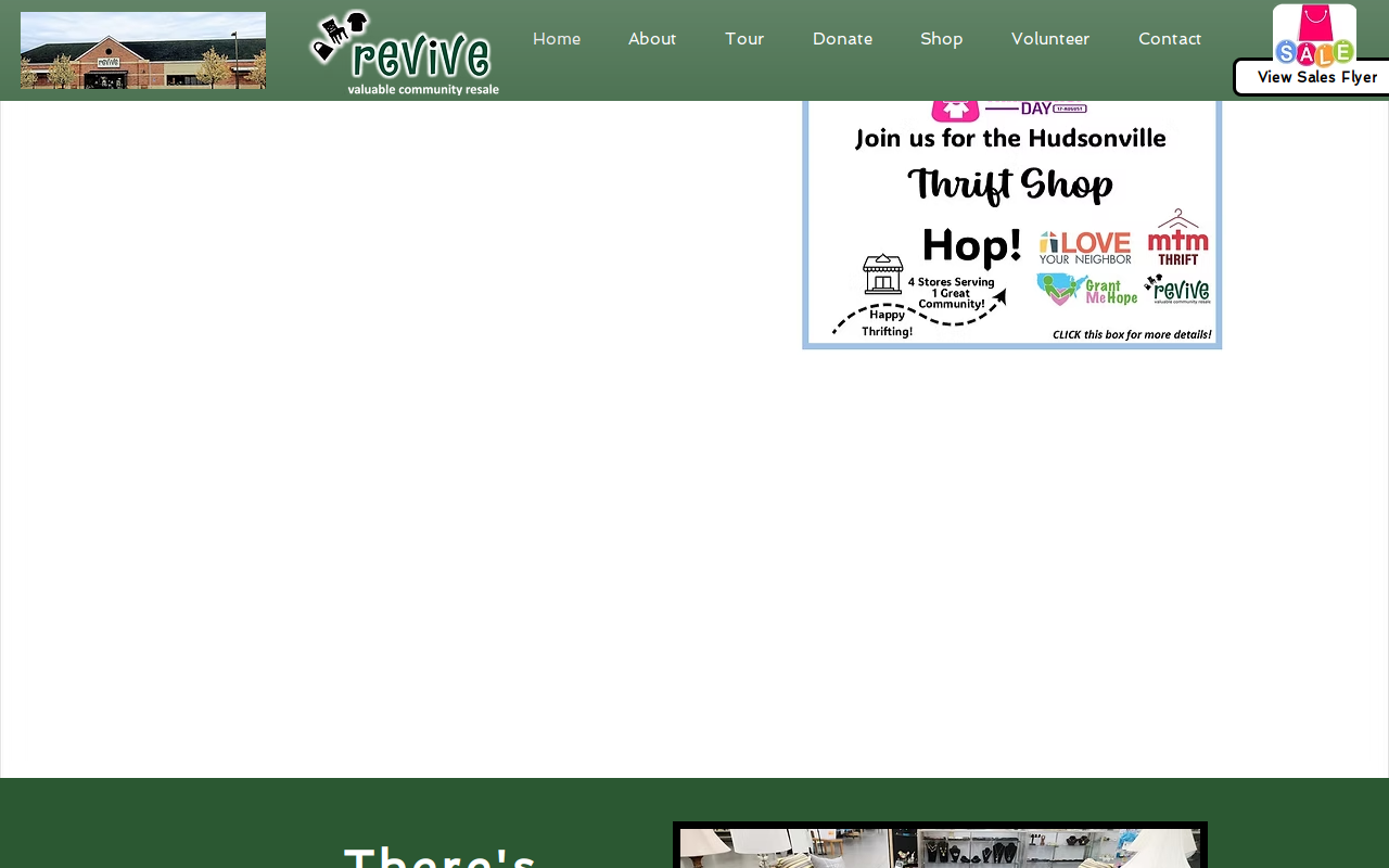 Revive website preview