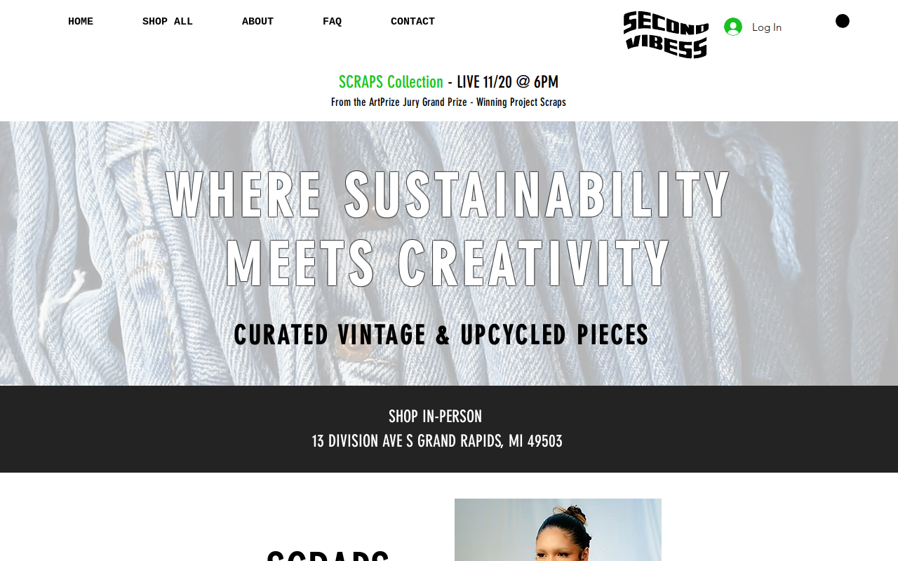 Second Vibess website preview