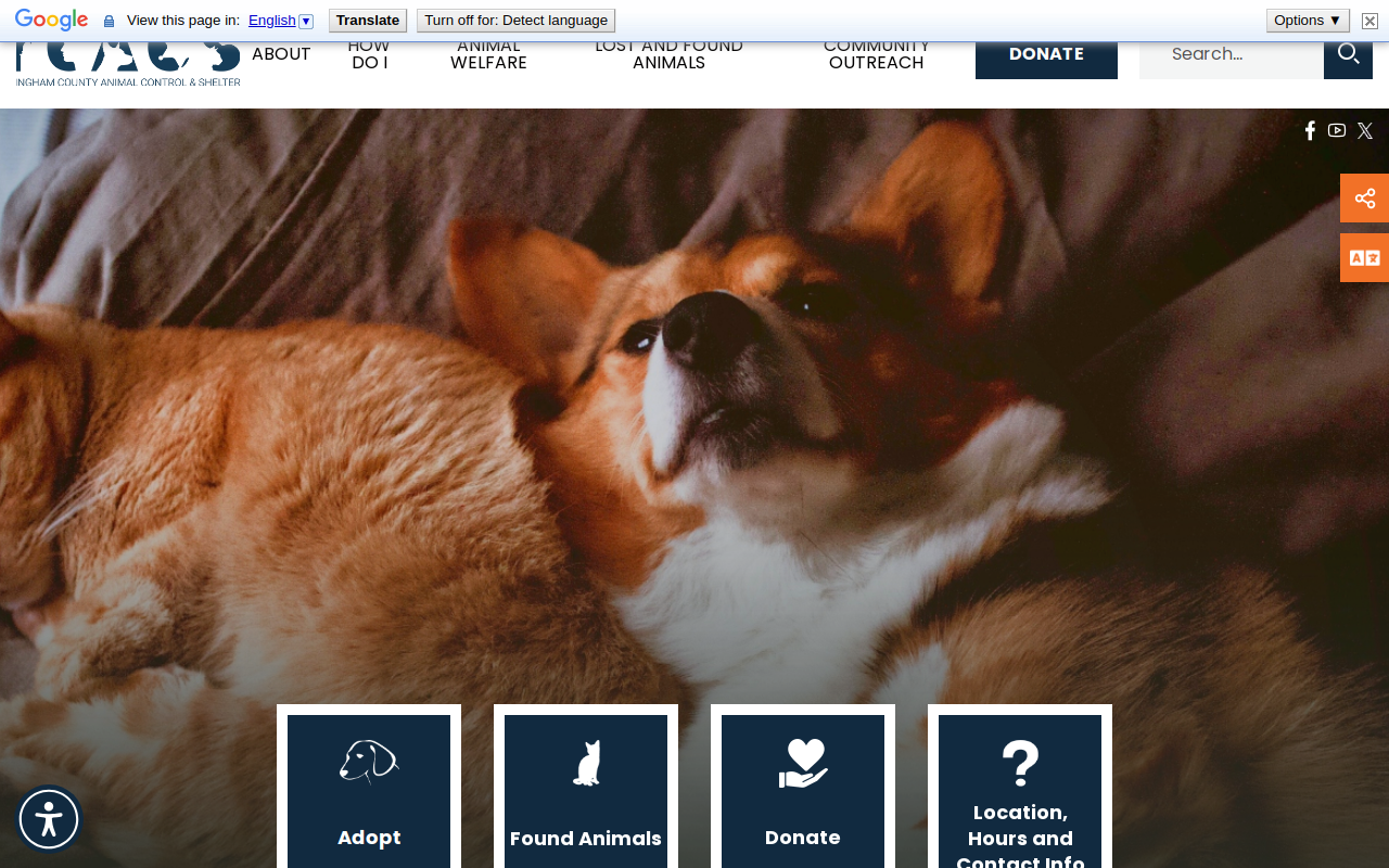 Ingham County Animal Shelter Thrift Store website preview