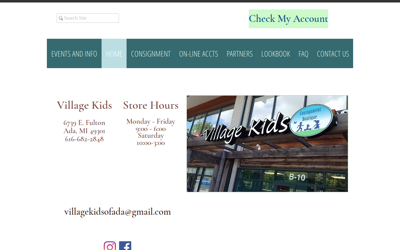 Village Kids Consignment Boutique website preview