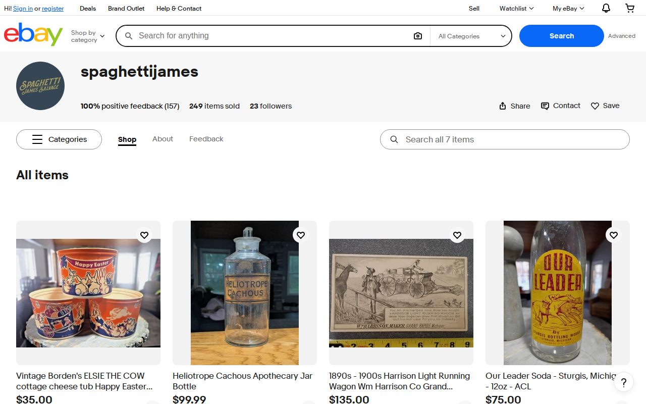 Spaghetti James Salvage website preview