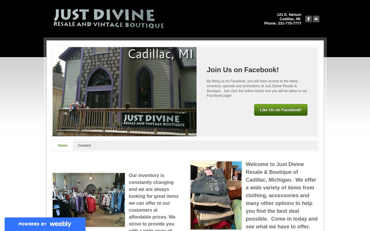 Just Divine website preview