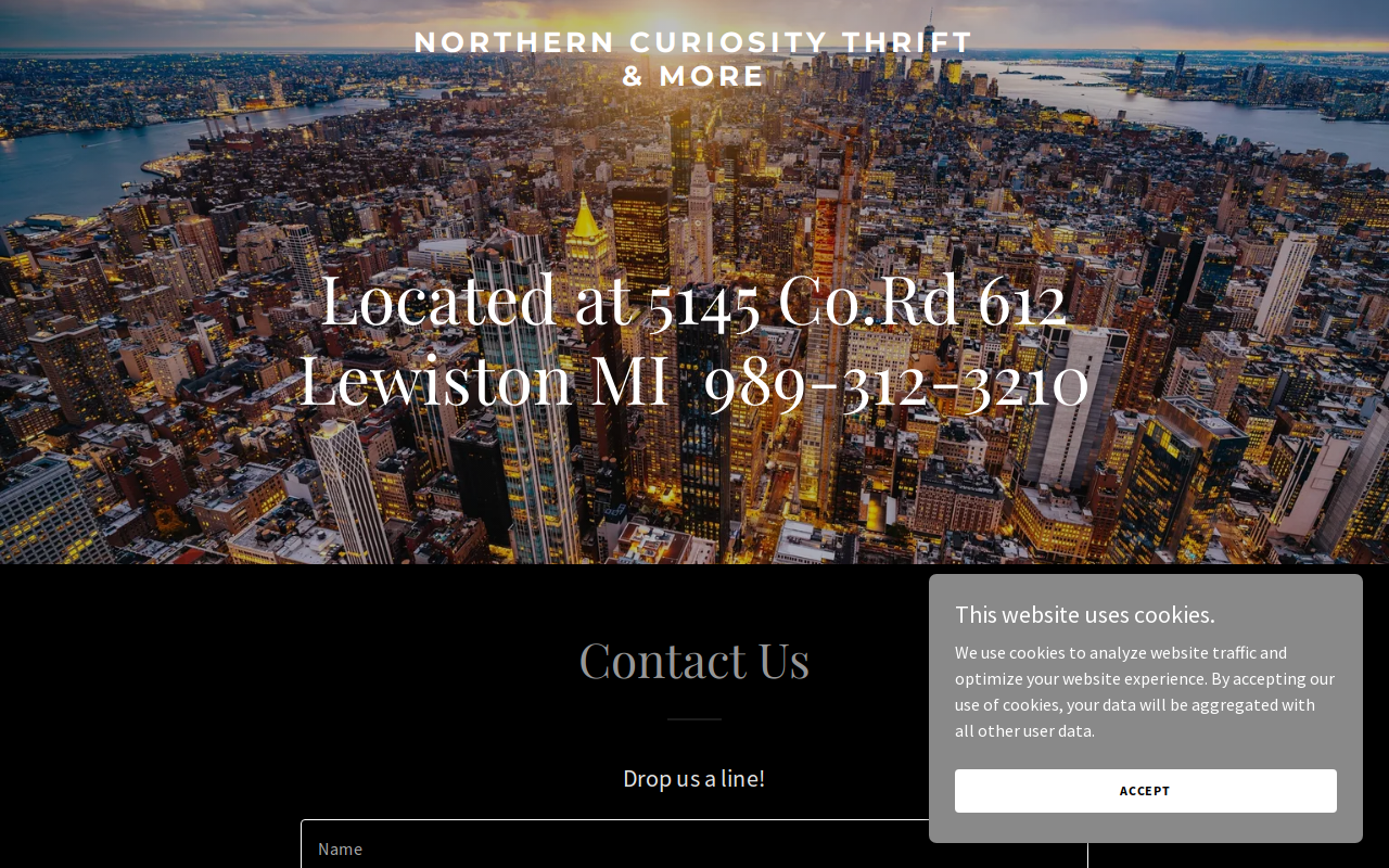 Northern Curiosity Thrift Store and More website preview