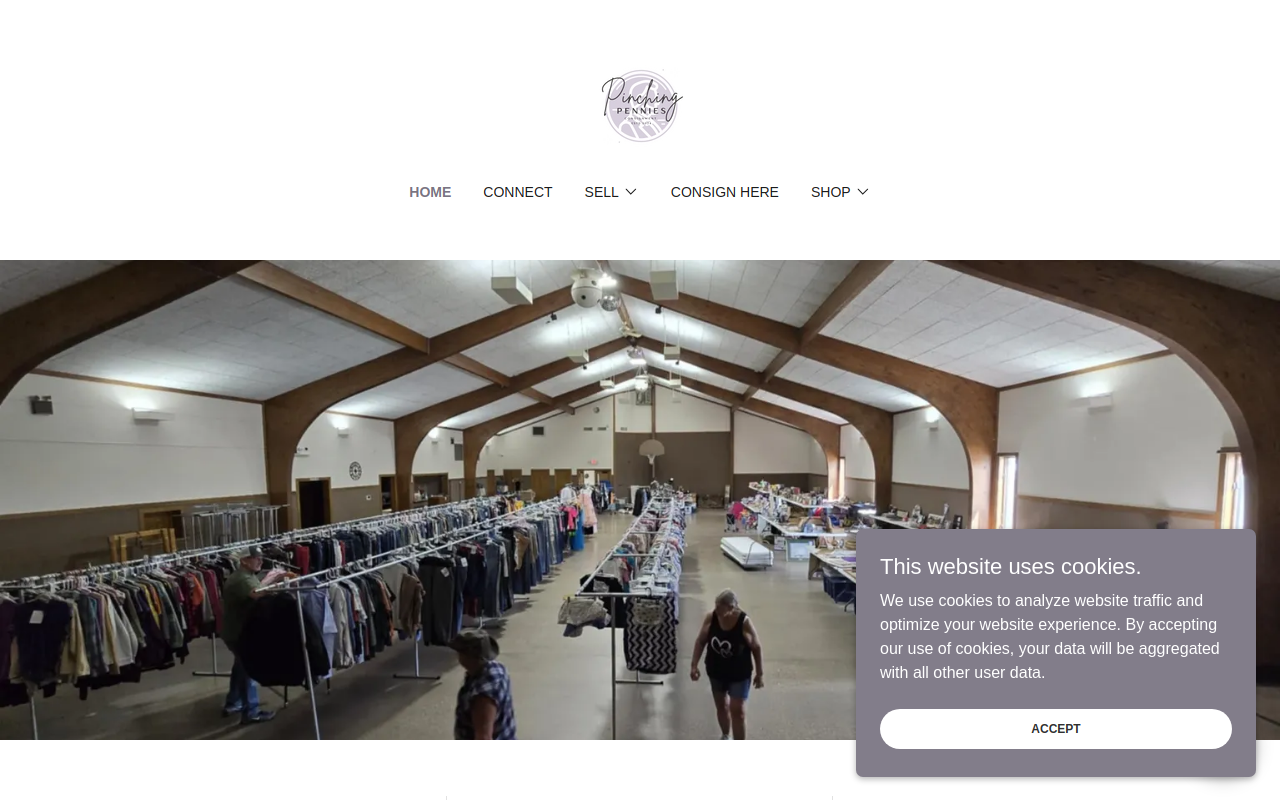 Pinching Pennies website preview