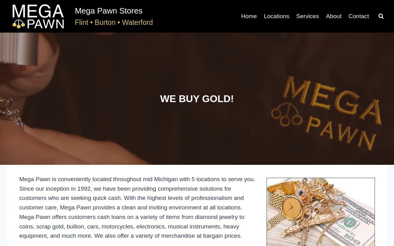 Mega Pawn 4 website preview