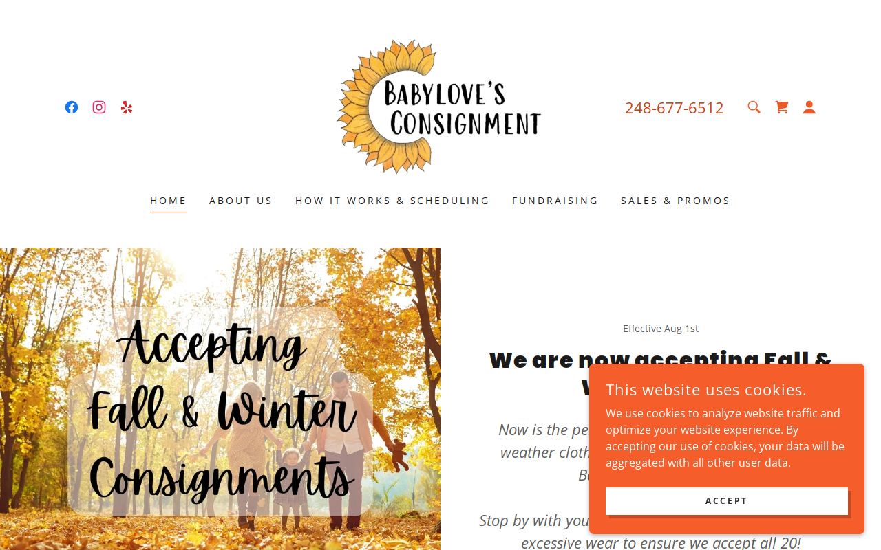 Babylove's Consignment website preview