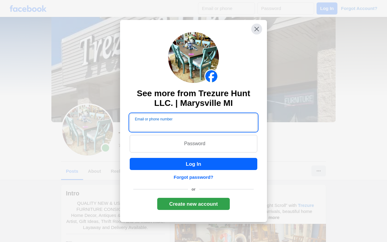 Trezure Hunt website preview