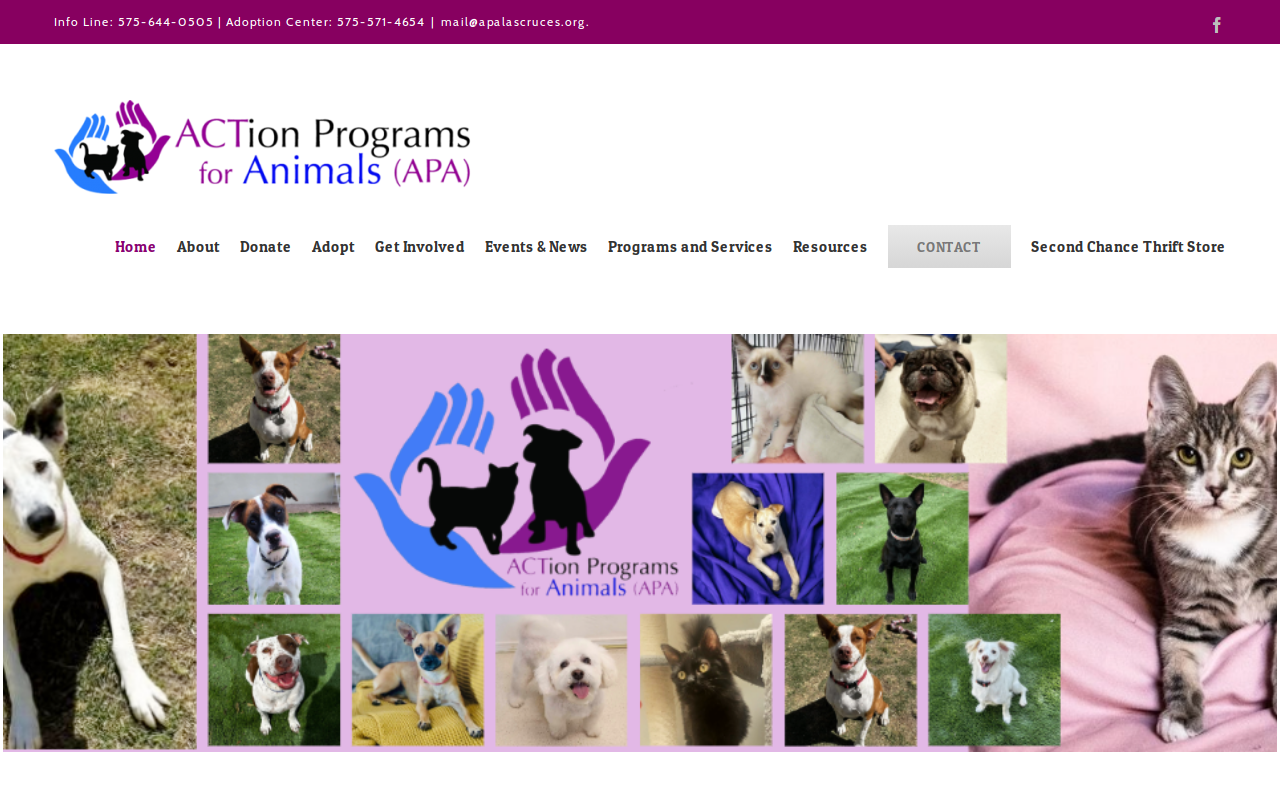 Second Chance Thrift Store website preview
