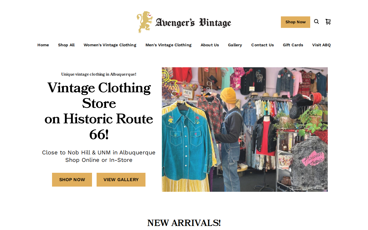Avenger's Vintage website preview