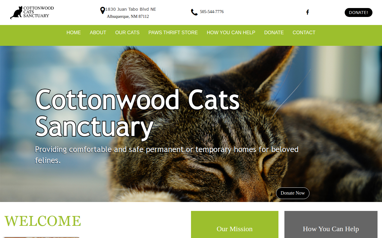 Paws Thrift Store website preview