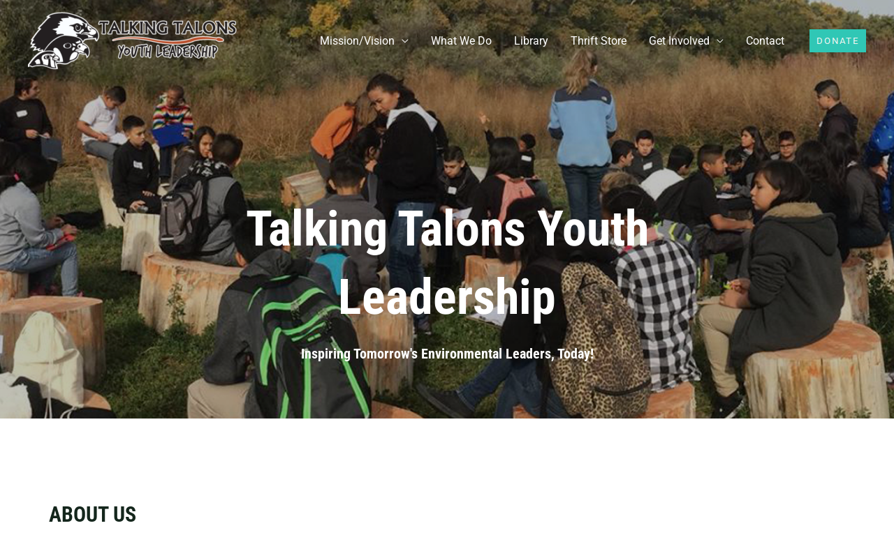 Talking Talons Thrift Store website preview