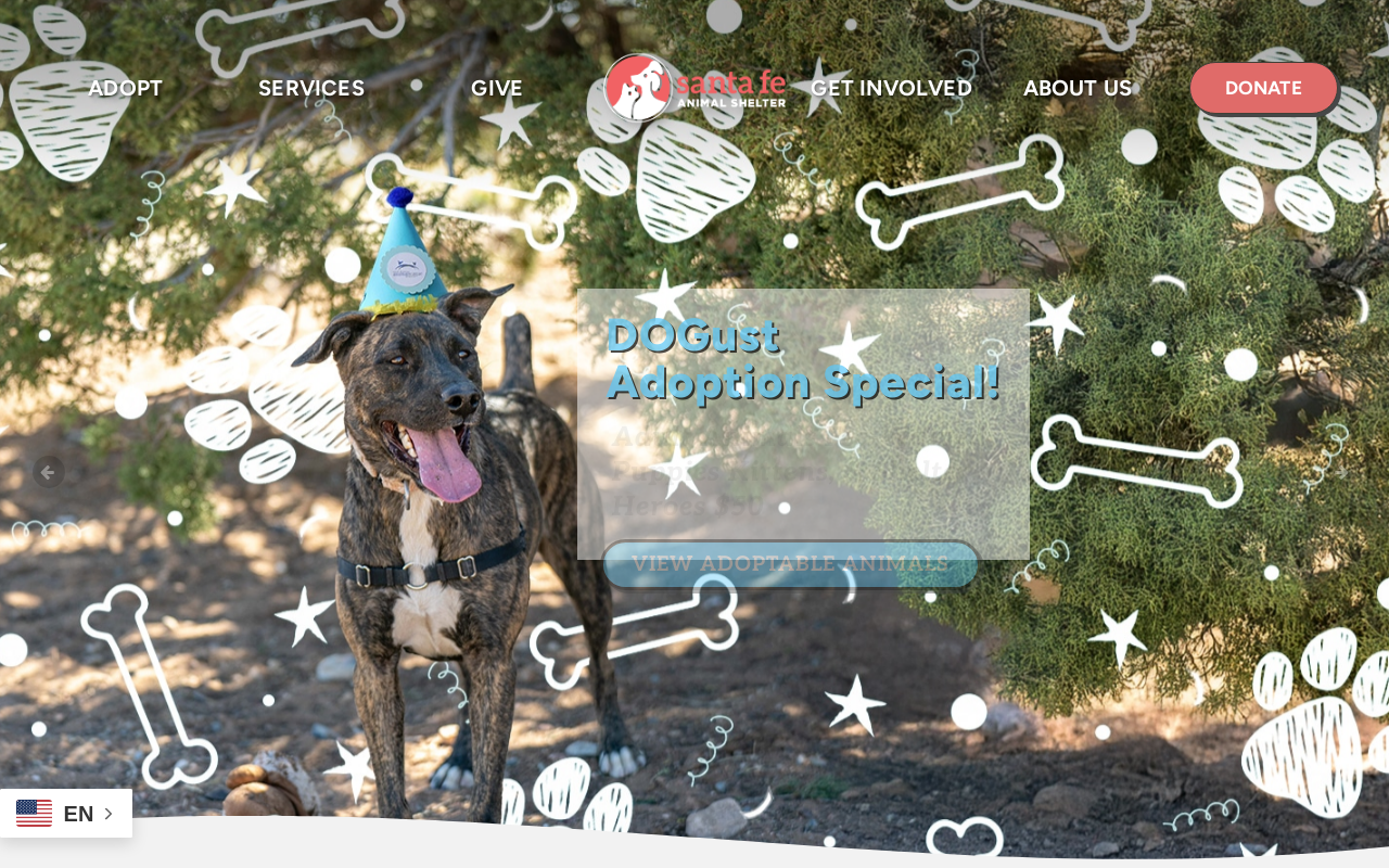 The Cat On Camino Entrada website preview