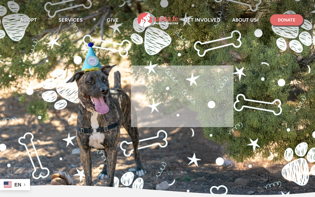 The Cat On Zafarano website preview