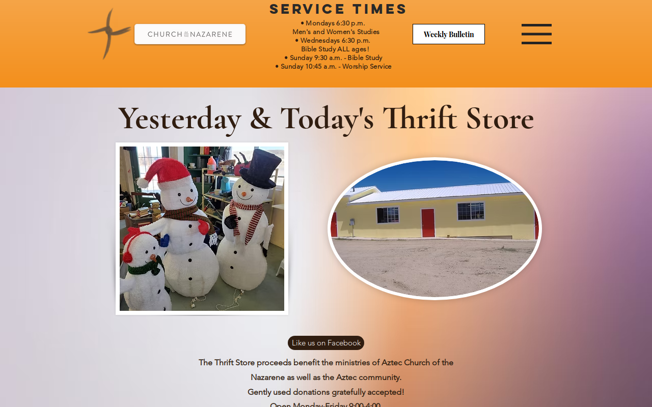 Yesterday and Todays Thrift Shop website preview