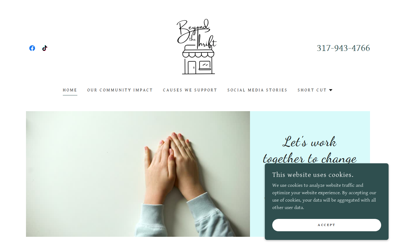 Beyond The Thrift website preview