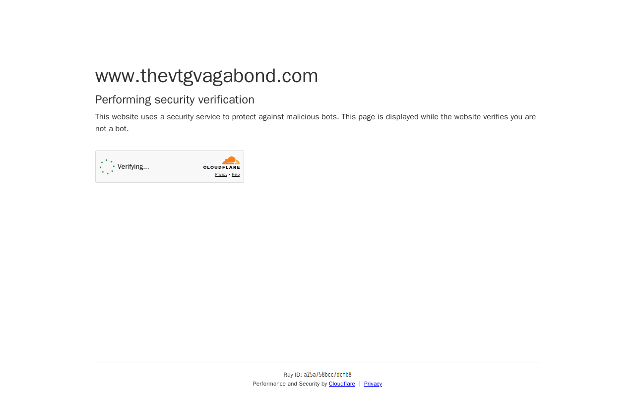 Vintage Vagabond website preview