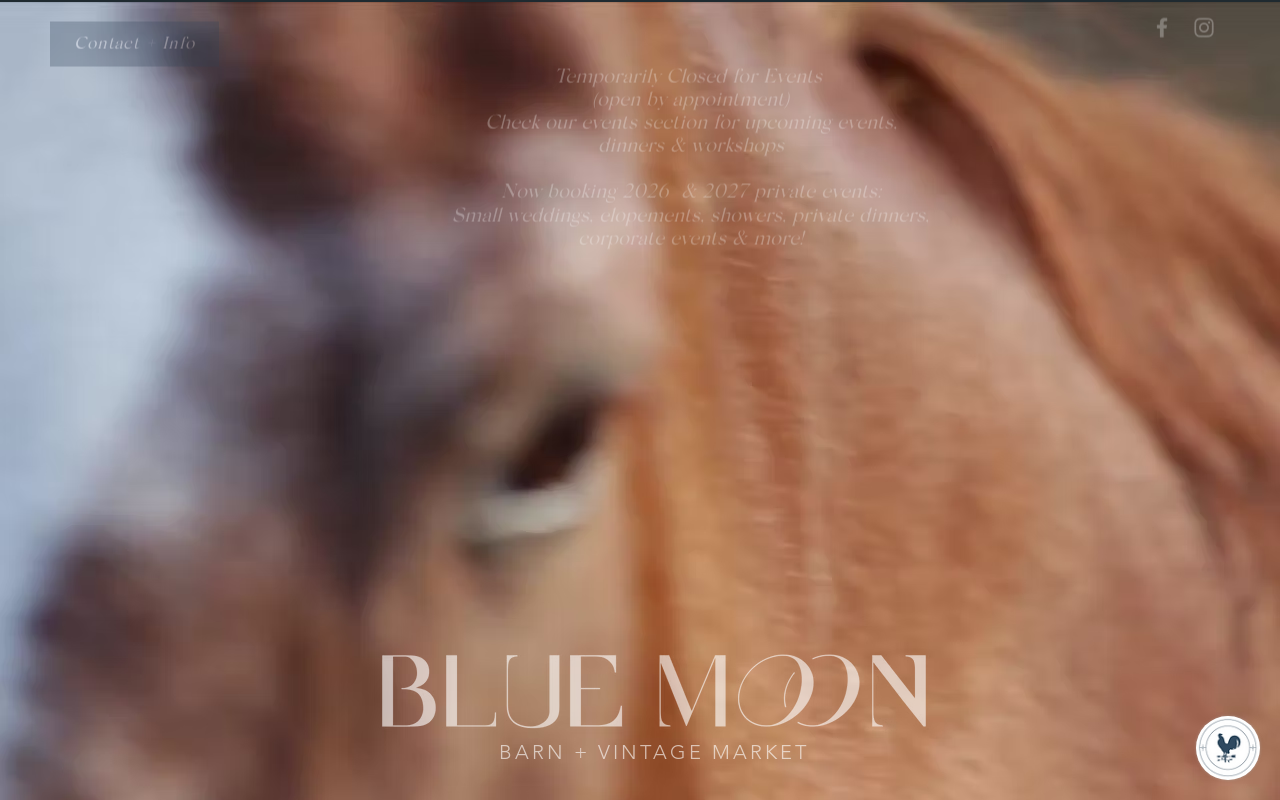 Blue Moon Barn & Vintage Market website preview