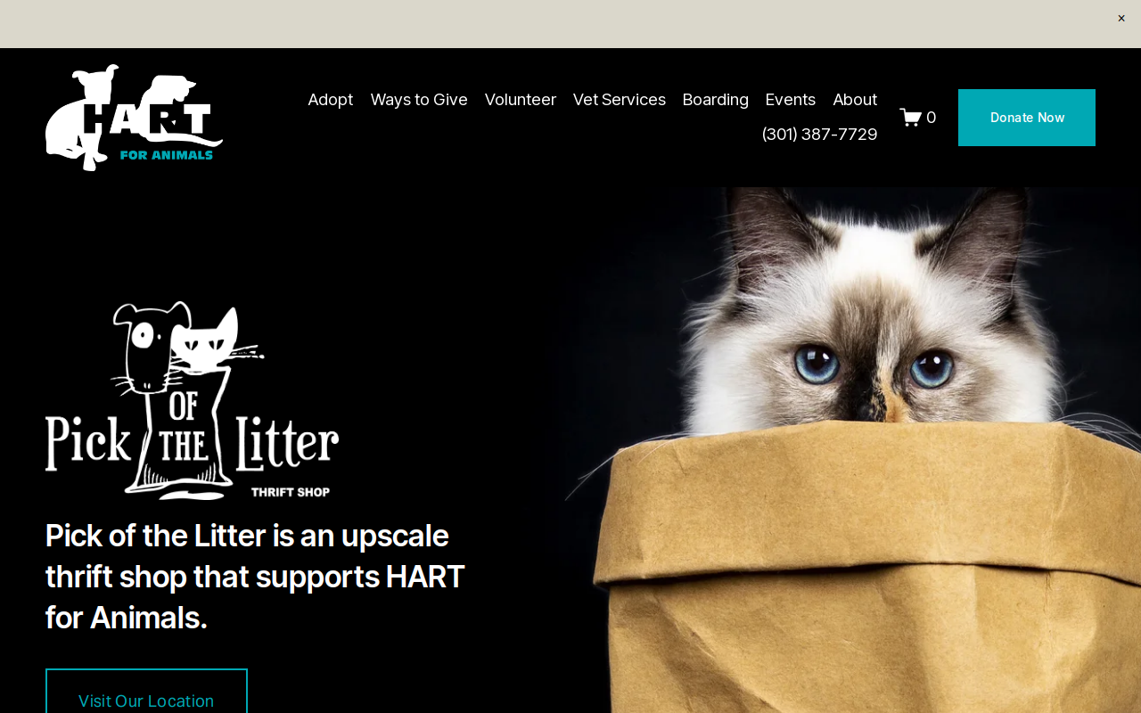 Pick of the Litter Thrift Shop website preview
