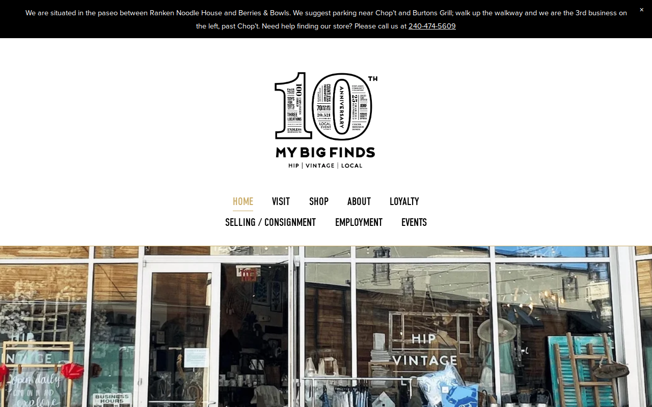 My Big Finds website preview