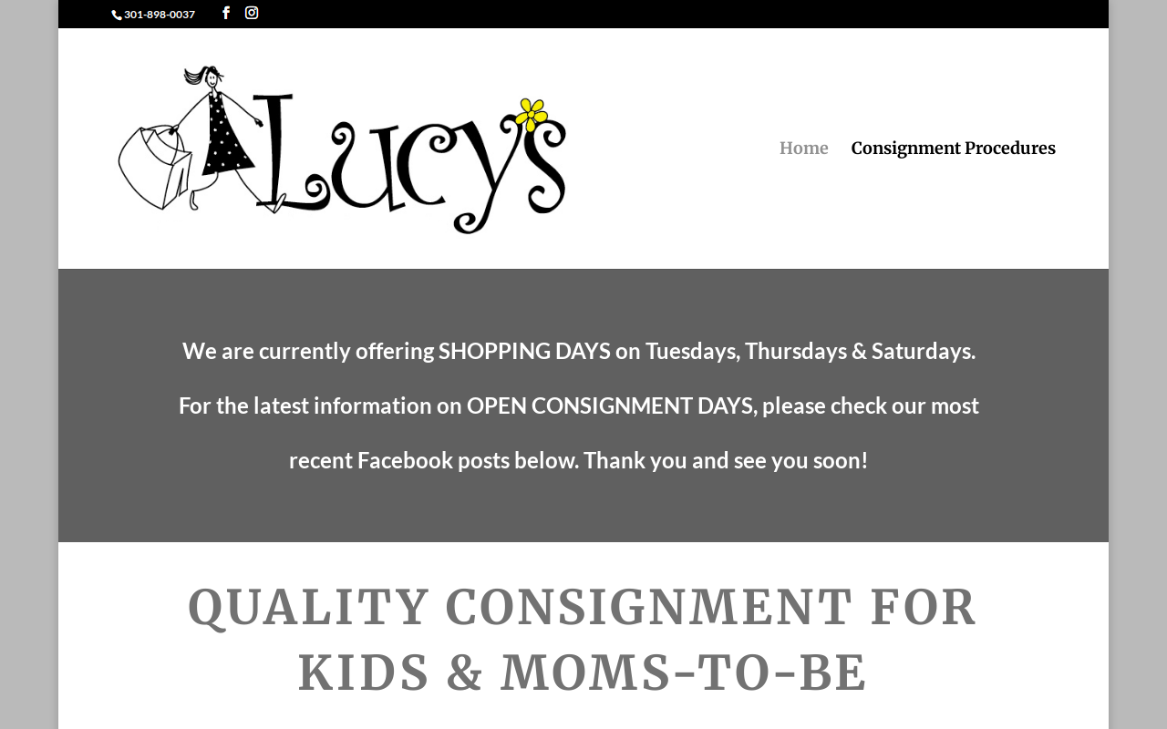 Lucy's website preview