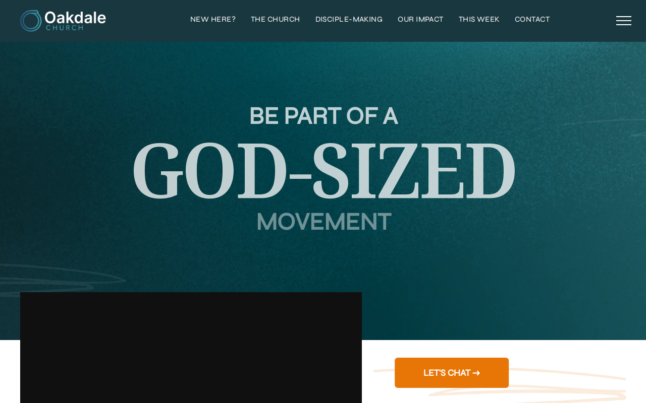 Oakdale's Attic Thrift Shop website preview