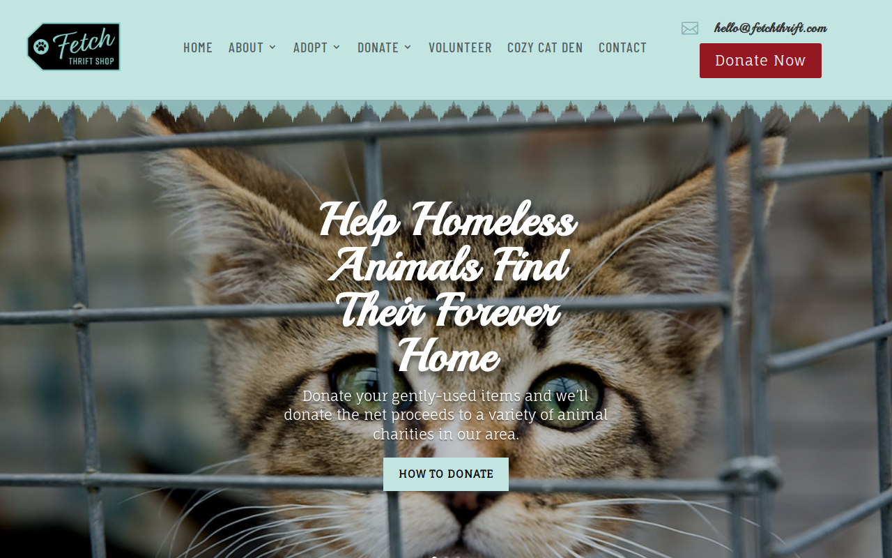 Fetch Thrift Shop website preview
