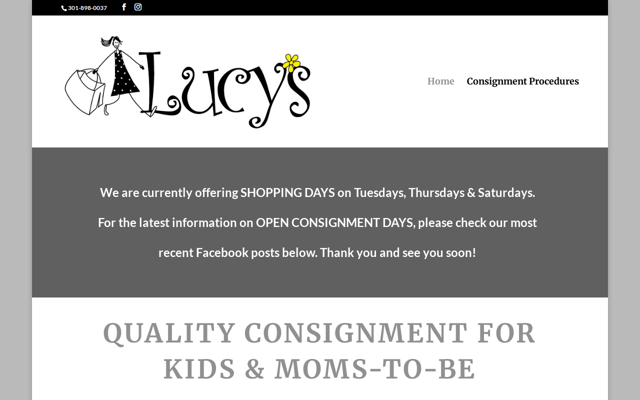Lucy's Consignment website preview