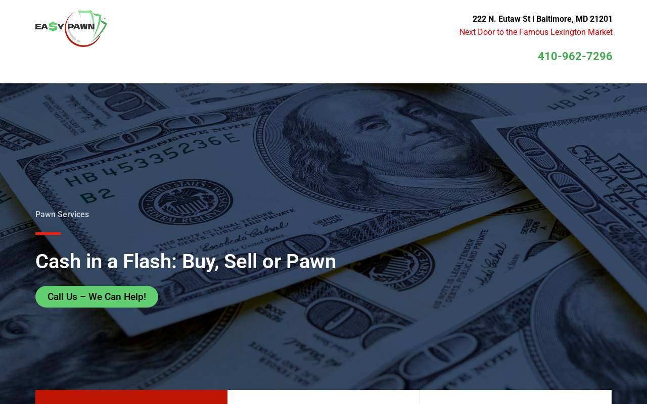 Easy Pawn website preview