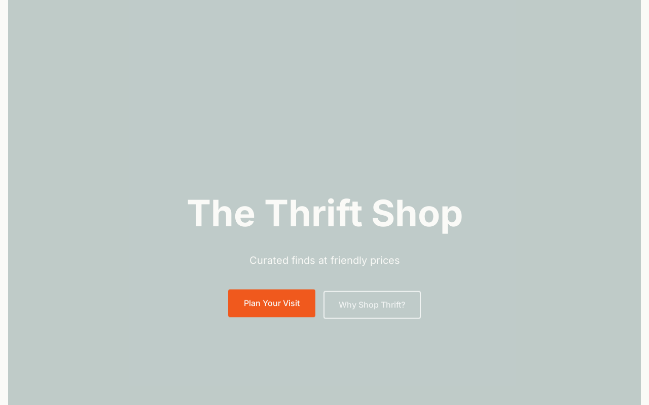 The Thrift Shop website preview