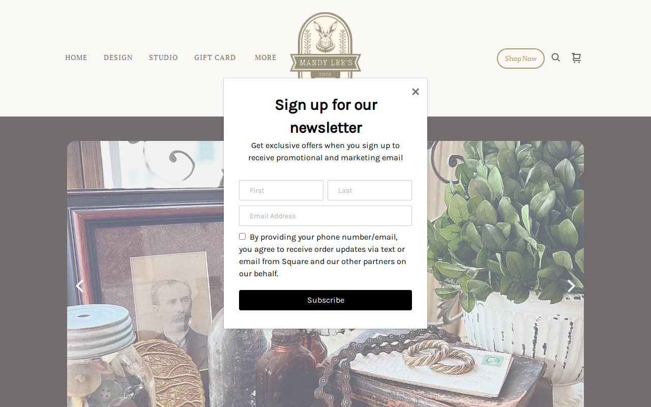 Mandy Lee's website preview