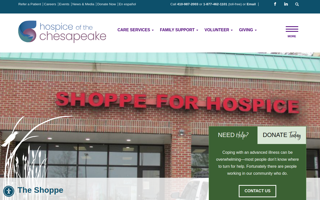 The Shoppe website preview