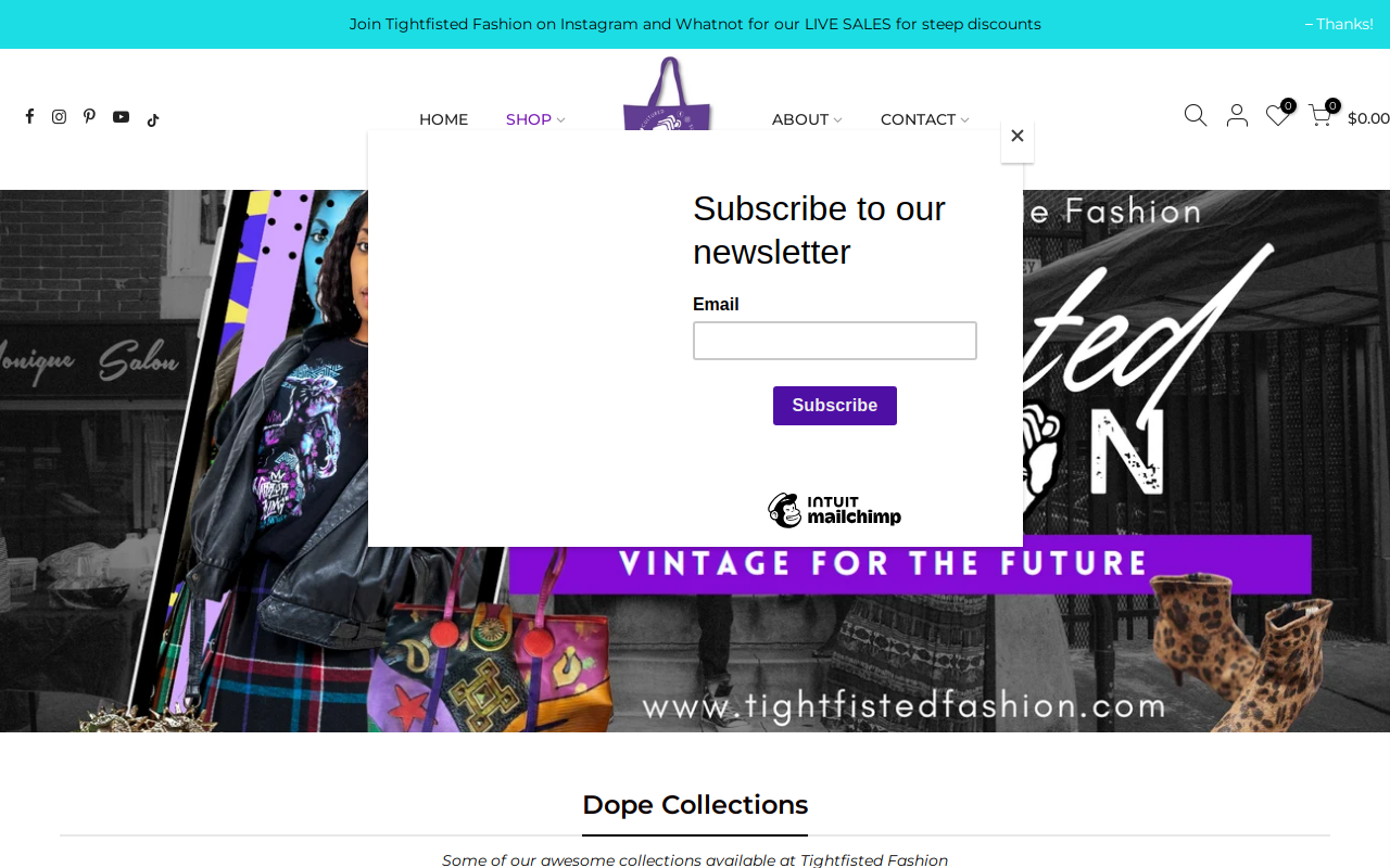 Tightfisted Fashion website preview