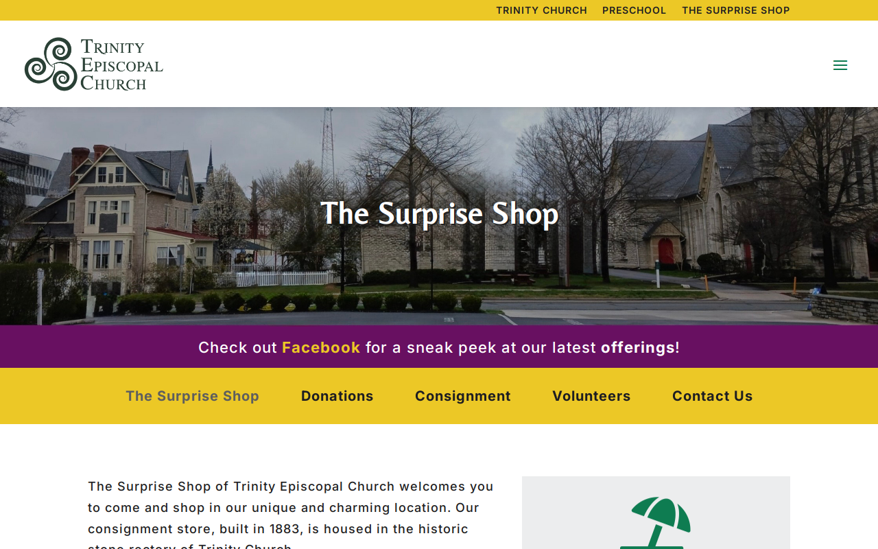Surprise Shop website preview