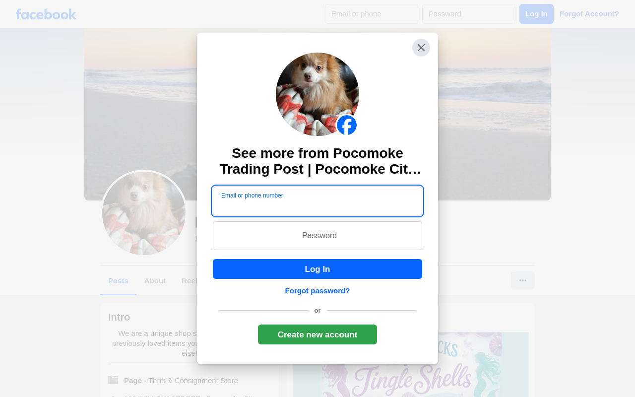 Pocomoke Trading Post website preview