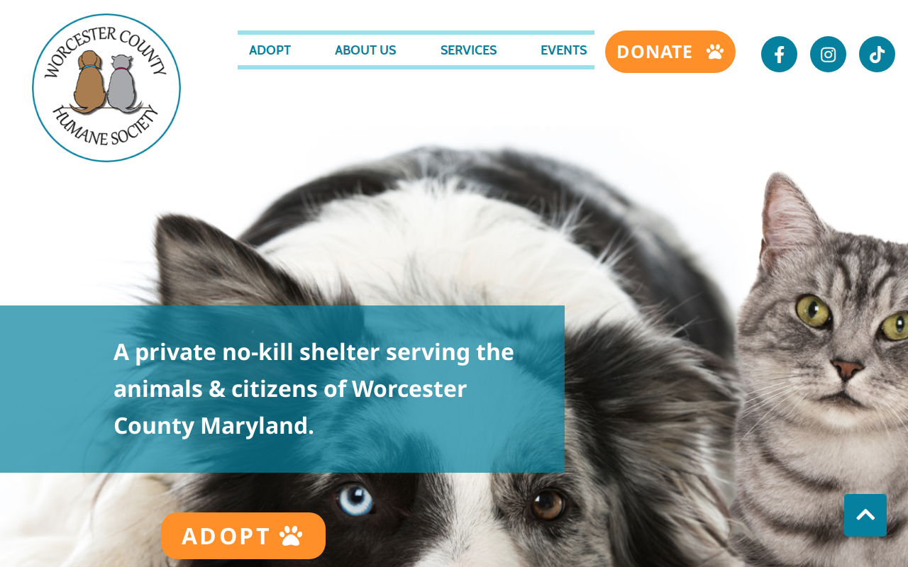 Worcester County Humane Thrift Store website preview