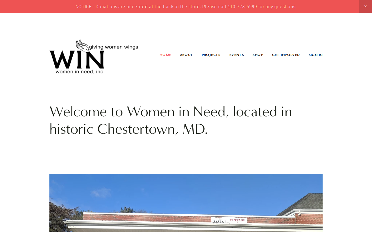 Women In Need Inc website preview
