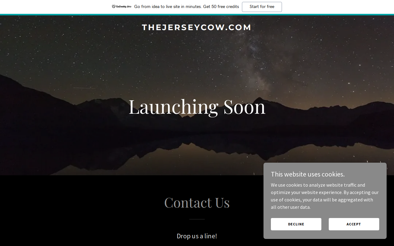 The Little Shop in the Middle, LLC website preview