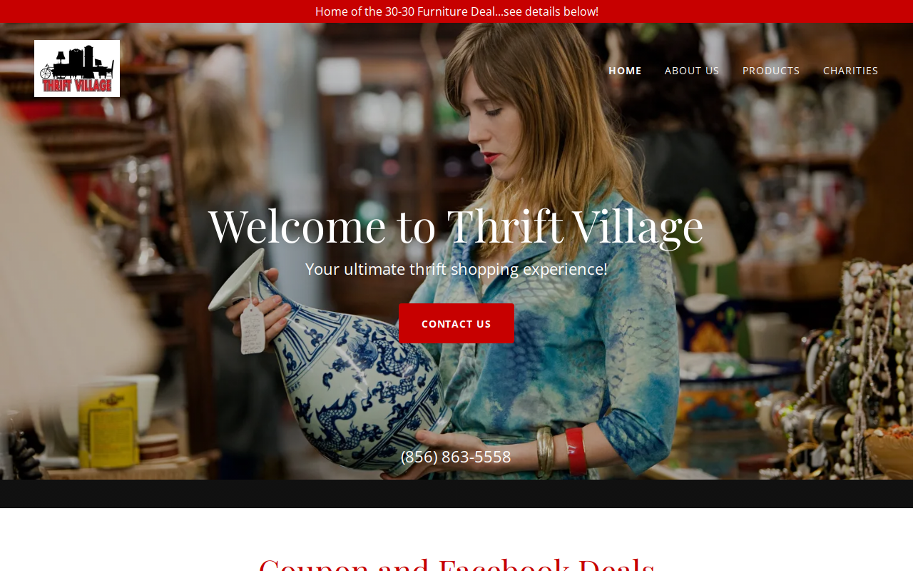 Thrift Village website preview