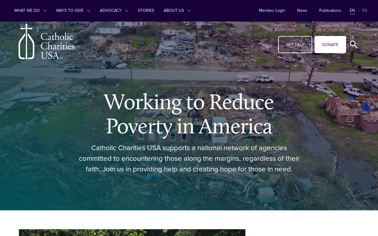 Catholic Charities website preview