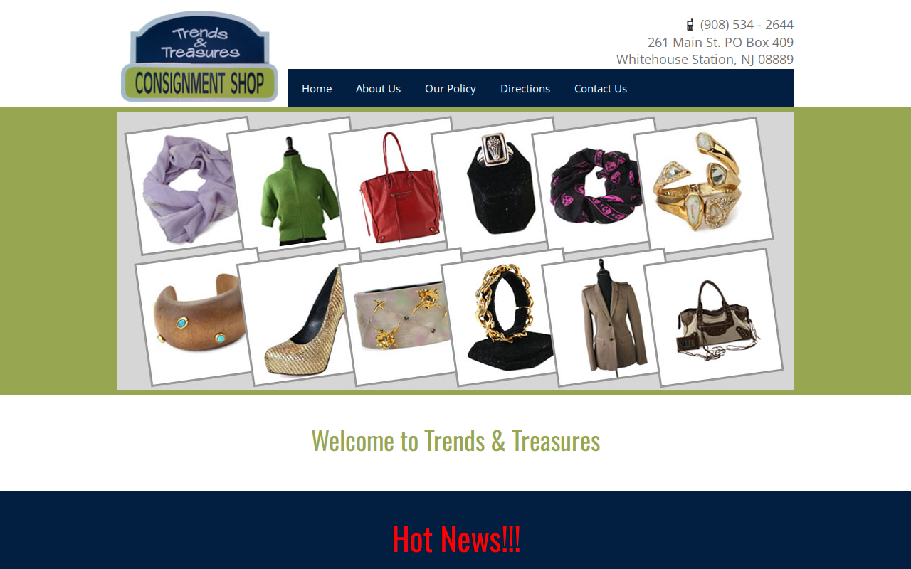 Trends & Treasures website preview